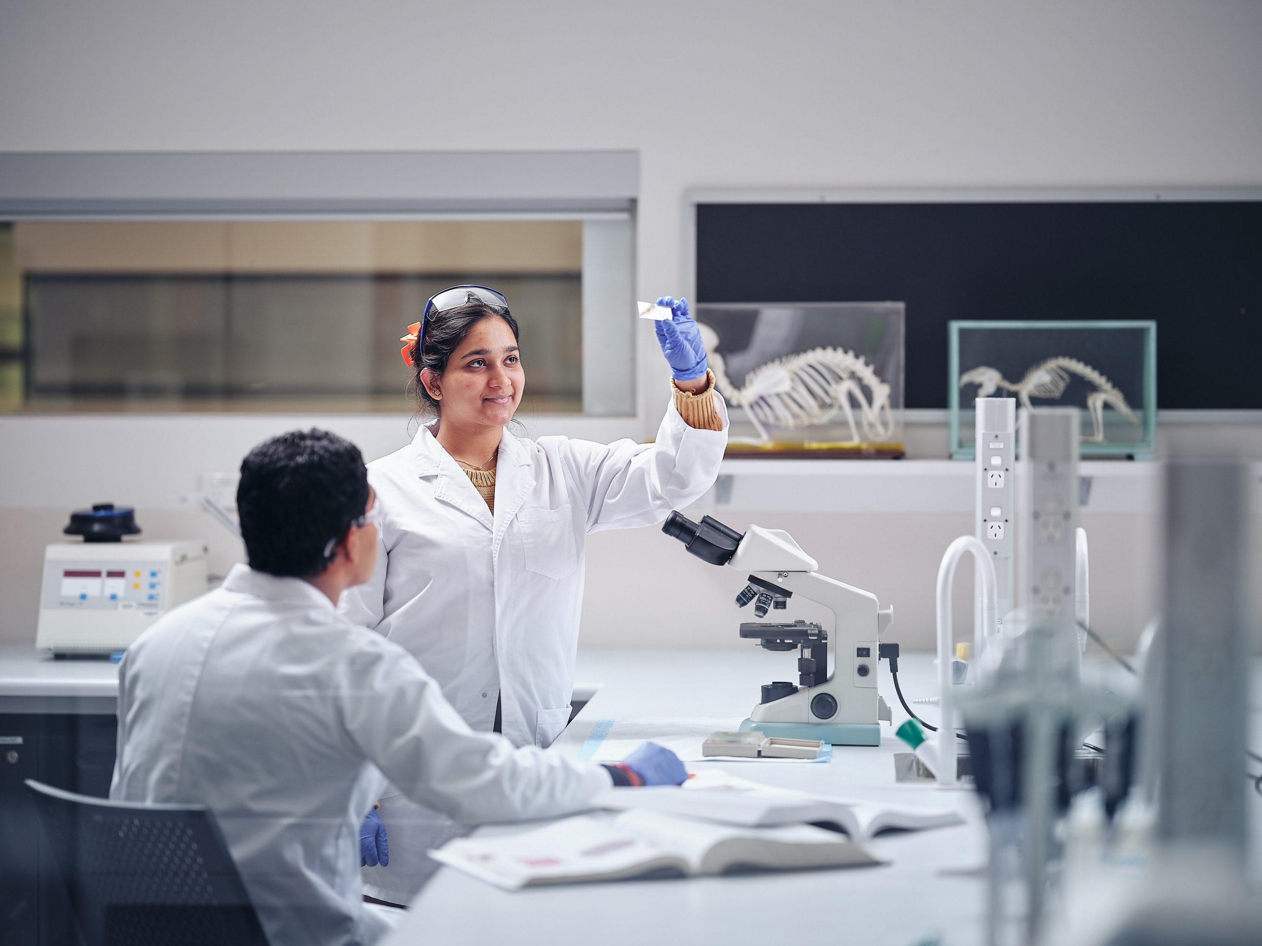 Bachelor of Biomedical Science